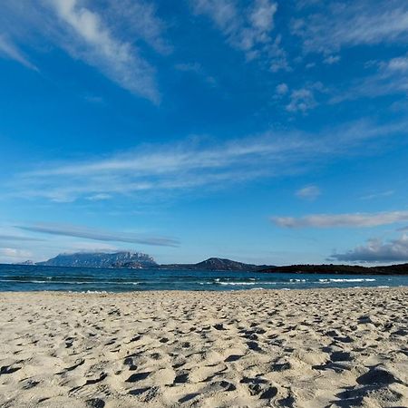 Casa Vacanze Lo Squalo Όλμπια Εξωτερικό φωτογραφία