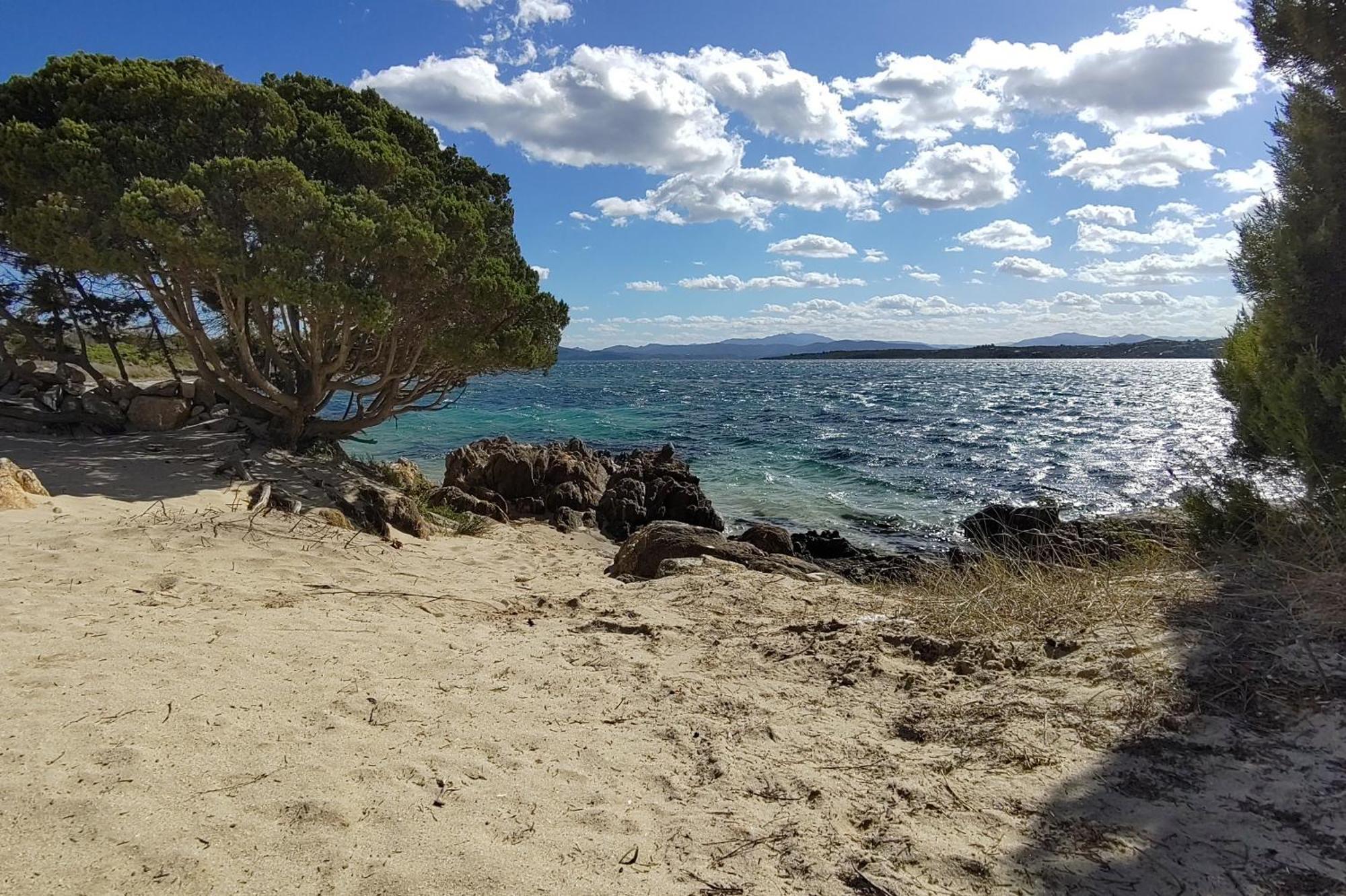 Casa Vacanze Lo Squalo Όλμπια Εξωτερικό φωτογραφία